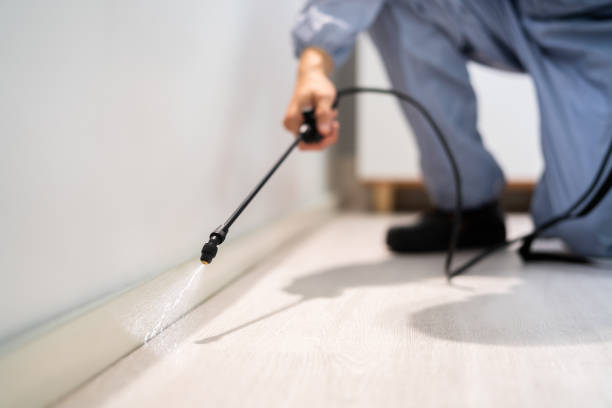 Licensed Mosquito Control service in Bessemer, MI - Show Me Pest Control