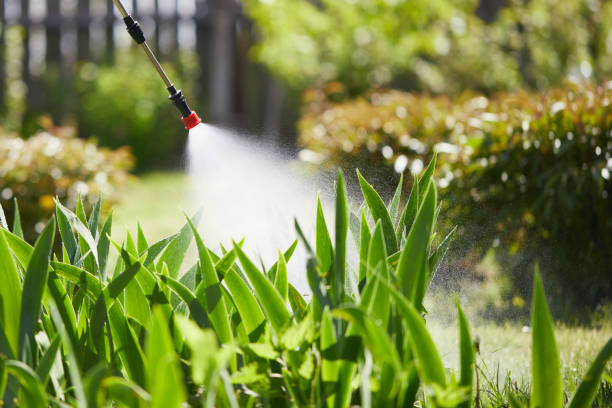 24/7 Emergency Mosquito Control experts in Bessemer, MI